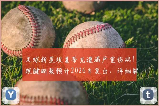 足球新星埃基蒂克遭遇严重伤病！跟腱断裂预计2026年复出，详细解读对球员职业生涯的影响