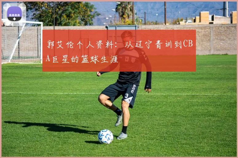 郭艾伦个人资料：从辽宁青训到CBA巨星的篮球生涯