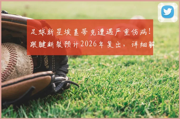 足球新星埃基蒂克遭遇严重伤病！跟腱断裂预计2026年复出，详细解读对球员职业生涯的影响